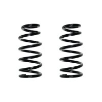 Fahrwerksfedern-Set hinten Schraubenfeder 273mm SPIDAN...