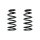 Fahrwerksfeder-Set hinten Schraubenfeder 273mm SPIDAN für HONDA CR-V II