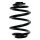 Suspension spring set rear coil spring 229mm SPIDAN for BMW Z4 Roadster