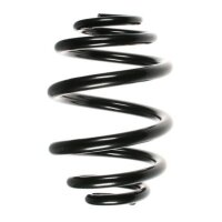 Fahrwerksfeder-Set hinten Schraubenfeder 250mm SPIDAN...
