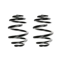 Suspension spring set rear coil spring 250mm SPIDAN for...
