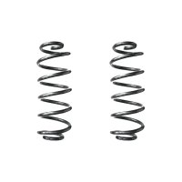 Suspension spring set rear coil spring 295mm SPIDAN for...