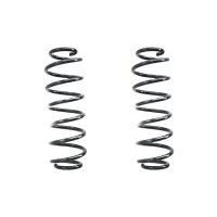 Fahrwerksfeder-Set hinten Schraubenfeder 303mm SPIDAN...