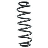Fahrwerksfeder-Set hinten Schraubenfeder 303mm SPIDAN...