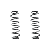 Fahrwerksfedern-Set hinten Schraubenfeder 303mm SPIDAN...