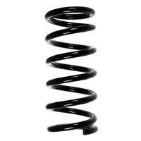 Fahrwerksfeder-Set vorne Schraubenfeder 320mm SPIDAN...