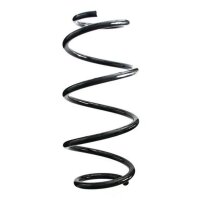 Fahrwerksfeder-Set hinten Schraubenfeder 315mm SPIDAN...