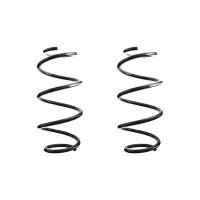 Suspension spring set rear coil spring 315mm SPIDAN for...