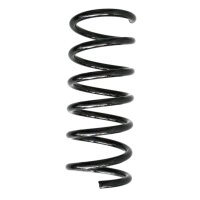 Fahrwerksfedern-Set hinten Schraubenfeder 304mm SPIDAN...