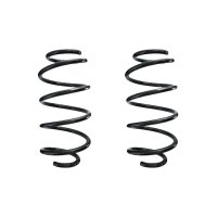 Fahrwerksfeder-Set vorne Schraubenfeder 319mm SPIDAN...