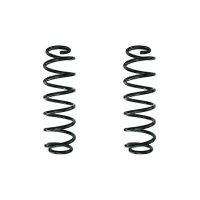 Suspension spring set rear coil spring 318mm SPIDAN for...