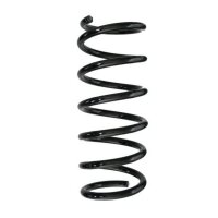 Fahrwerksfeder-Set hinten Schraubenfeder 363mm SPIDAN...