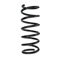 Fahrwerksfedern-Set hinten Schraubenfeder 363mm SPIDAN...