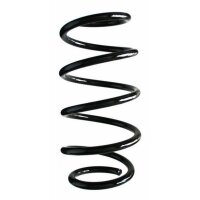 Fahrwerksfeder-Set vorne Schraubenfeder 313mm SPIDAN...