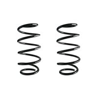Suspension spring set front coil spring 313mm SPIDAN for...