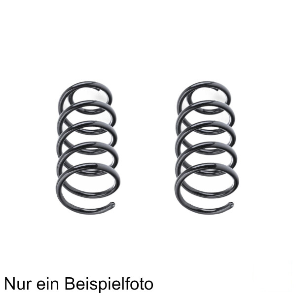 Fahrwerksfeder-Set vorne Schraubenfeder 307mm SPIDAN für DACIA LODGY (JS_)