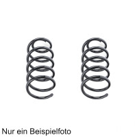Fahrwerksfeder-Set vorne Schraubenfeder 307mm SPIDAN...