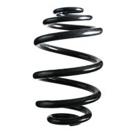 Fahrwerksfeder-Set hinten Schraubenfeder 234mm SPIDAN...