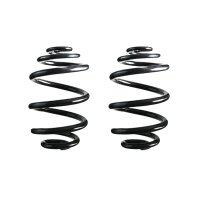 Fahrwerksfedern-Set hinten Schraubenfeder 234mm SPIDAN...