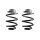 Fahrwerksfeder-Set hinten Schraubenfeder 234mm SPIDAN für BMW Z4 Roadster