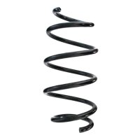 Fahrwerksfedern-Set vorne Schraubenfeder 343mm SPIDAN...