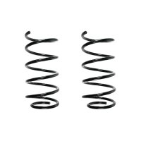 Suspension spring set rear coil spring 305mm SPIDAN for...