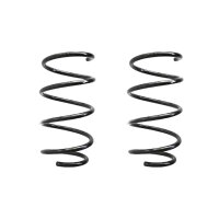 Fahrwerksfeder-Set vorne Schraubenfeder 304mm SPIDAN...