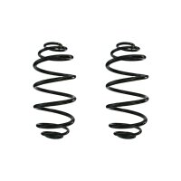 Suspension spring set rear coil spring 305mm SPIDAN for...