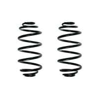 Suspension spring set rear coil spring 310mm SPIDAN for...