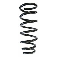 Fahrwerksfeder-Set hinten Schraubenfeder 300mm SPIDAN...