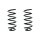 Fahrwerksfeder-Set hinten Schraubenfeder 308mm SPIDAN für VW PASSAT B5.5