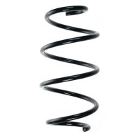 Fahrwerksfeder-Set vorne Schraubenfeder 308mm SPIDAN...
