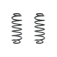 Suspension spring set rear coil spring 294mm SPIDAN for...