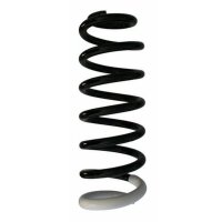 Fahrwerksfeder-Set hinten Schraubenfeder 319mm SPIDAN...