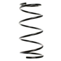 Fahrwerksfeder-Set hinten Schraubenfeder 316mm SPIDAN...