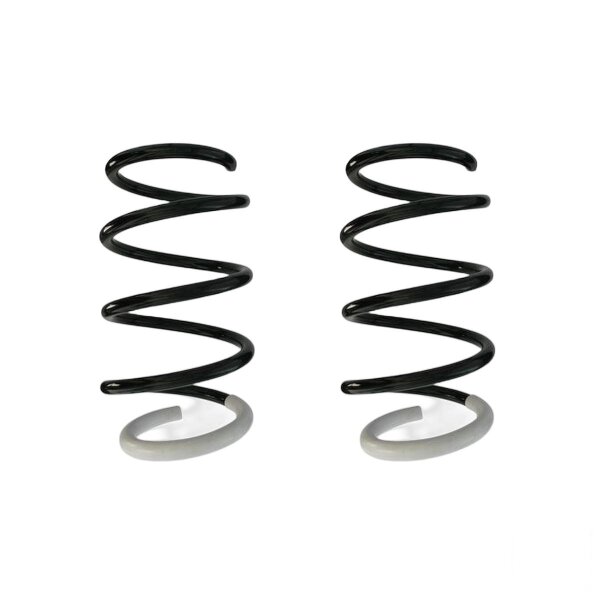 Suspension spring set front coil spring 302mm SPIDAN for RENAULT LAGUNA Coupe