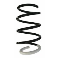 Fahrwerksfeder-Set vorne Schraubenfeder 302mm SPIDAN...