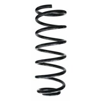 Fahrwerksfeder-Set hinten Schraubenfeder 298mm SPIDAN...