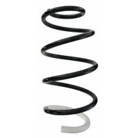 Fahrwerksfeder-Set vorne Schraubenfeder 320mm SPIDAN...