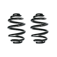 Fahrwerksfedern-Set hinten Schraubenfeder 238mm SPIDAN...