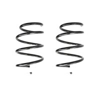 Fahrwerksfeder-Set vorne Schraubenfeder 312mm SPIDAN...