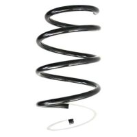 Fahrwerksfeder-Set vorne Schraubenfeder 312mm SPIDAN...
