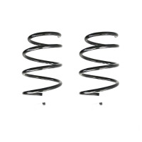 Suspension spring set front coil spring 312mm SPIDAN for...