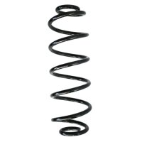Fahrwerksfedern-Set hinten Schraubenfeder 376mm SPIDAN...