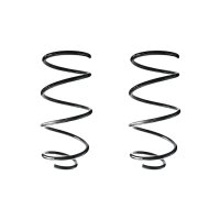 Fahrwerksfeder-Set vorne Schraubenfeder 317mm SPIDAN...