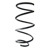 Fahrwerksfeder-Set vorne Schraubenfeder 317mm SPIDAN...