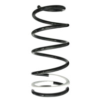 Fahrwerksfedern-Set hinten Schraubenfeder 353mm SPIDAN...