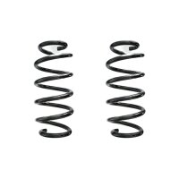 Suspension spring set rear coil spring 291mm SPIDAN for...