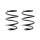 Suspension spring set front coil spring 252mm SPIDAN for MINI MINI R50