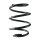 Suspension spring set front coil spring 252mm SPIDAN for MINI MINI R50